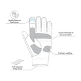 BELA APOLO Moto Couro Luvas Marrón - Imagem vetorial 1 de luvas