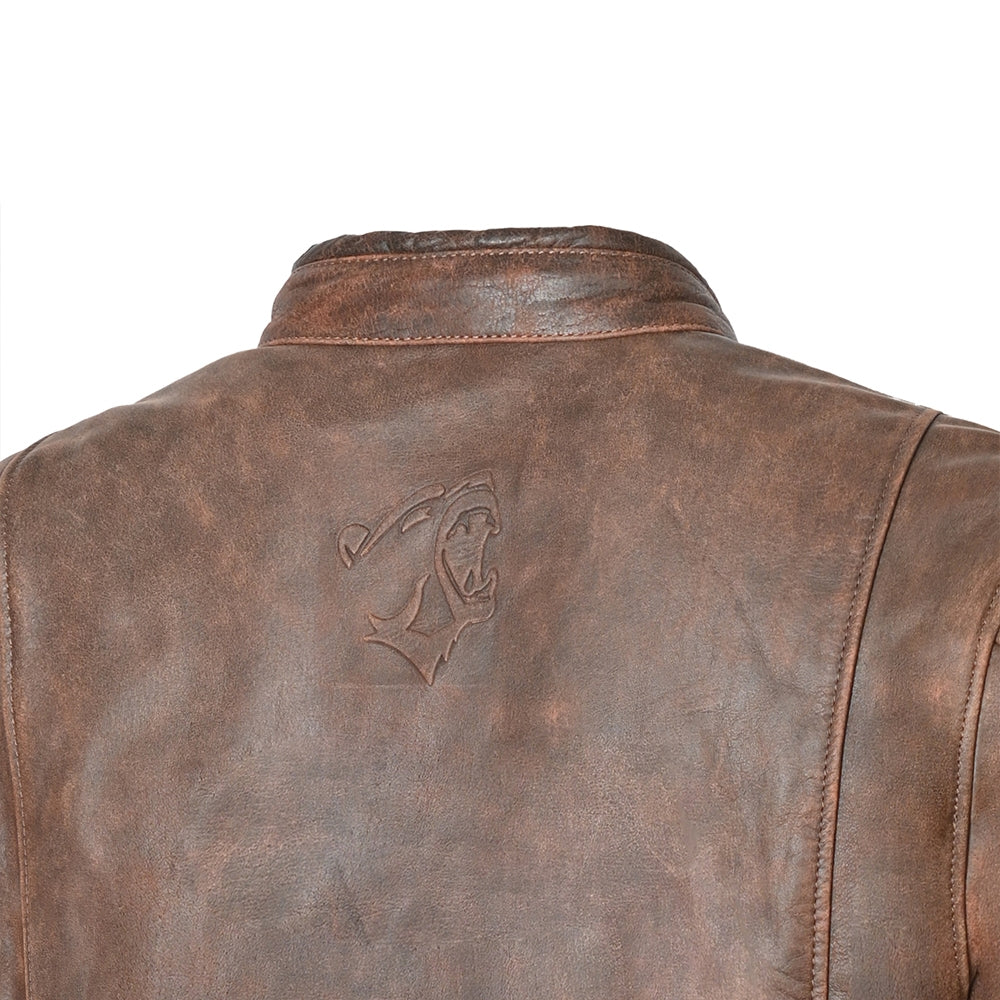 BELA ROYAL RIDER VINTAGE Moto Casacos Bege Marrom - Imagem parte superior costas Casacos